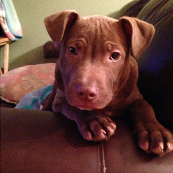 Meet your Posher, Shelley - Picture 7 of 10